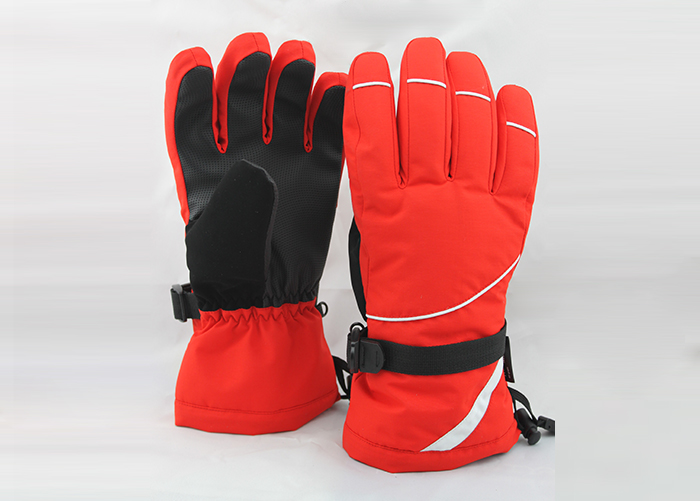 Adult Ski Gloves