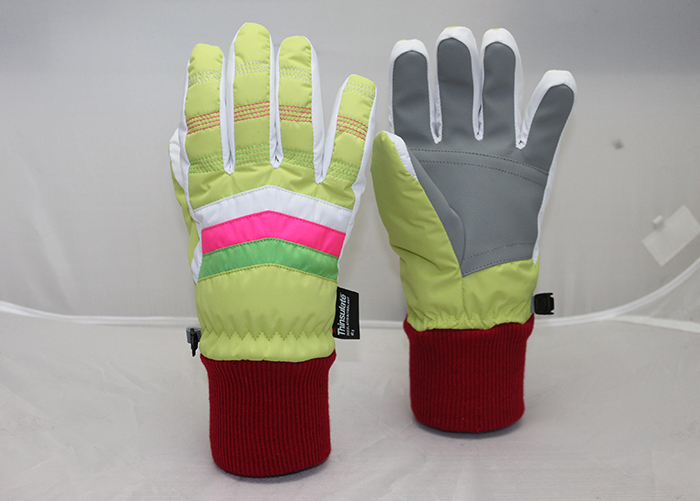 Adult Ski Gloves